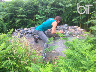 Ecology Surveys, Its now is the perfect time to be thinking about the Ecology Surveys you will need.