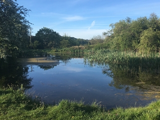 The Beeches Local Nature Reserve