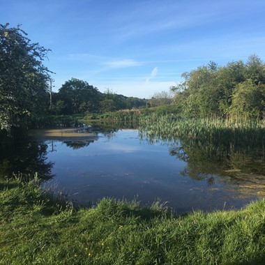 The Beeches Local Nature Reserve